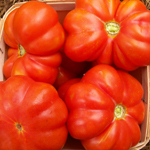 Large Red Tomato